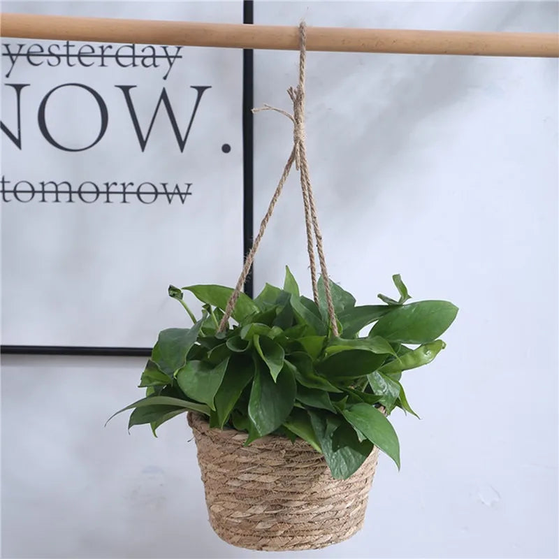 Hocozy - Garden Hanging Planter - garden plant kits watering pot irrigation hand tools netting hanging stick ties green balcony