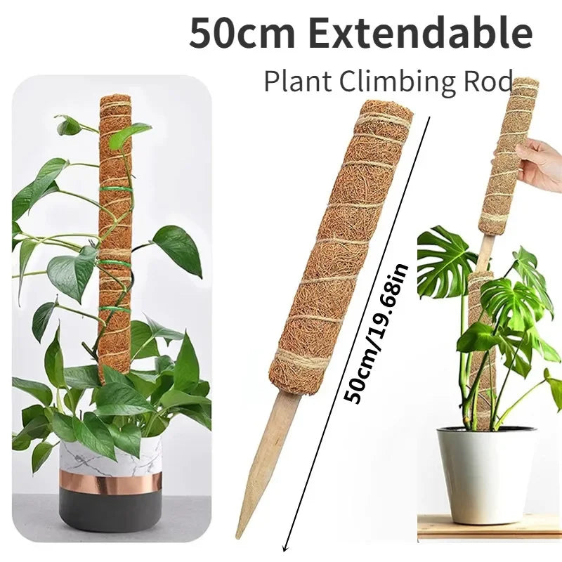 Hocozy - Plant Moss Stick for Climbing Plants - garden plant kits watering pot irrigation hand tools netting hanging stick ties green balcony