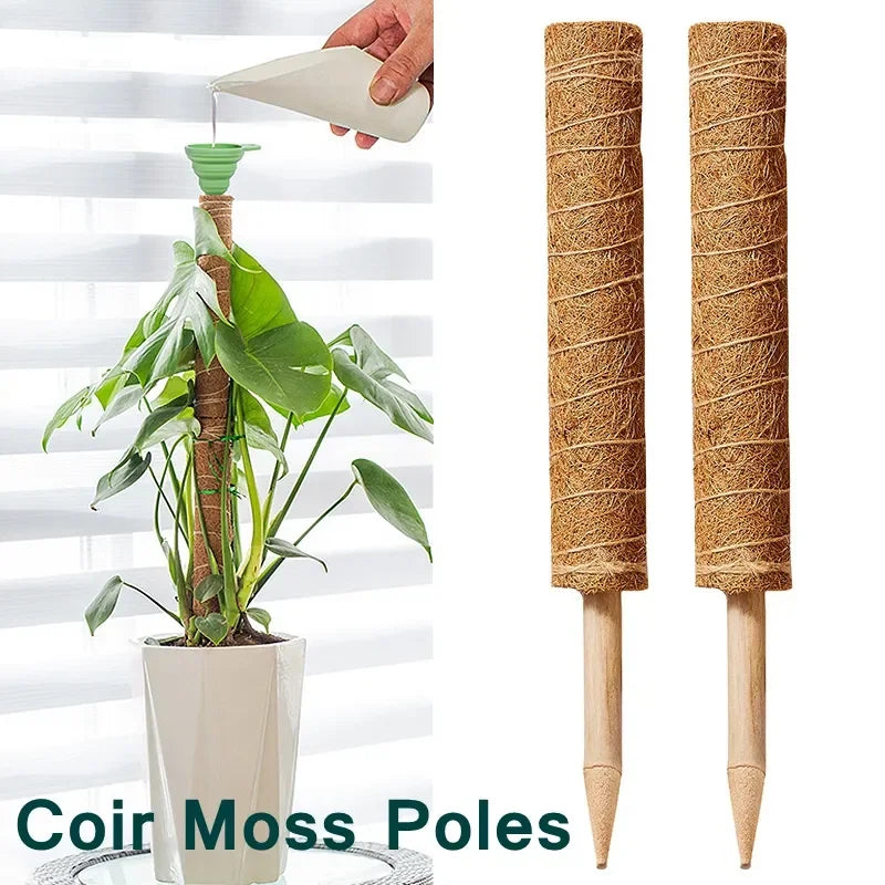 Hocozy - Plant Moss Stick for Climbing Plants - garden plant kits watering pot irrigation hand tools netting hanging stick ties green balcony