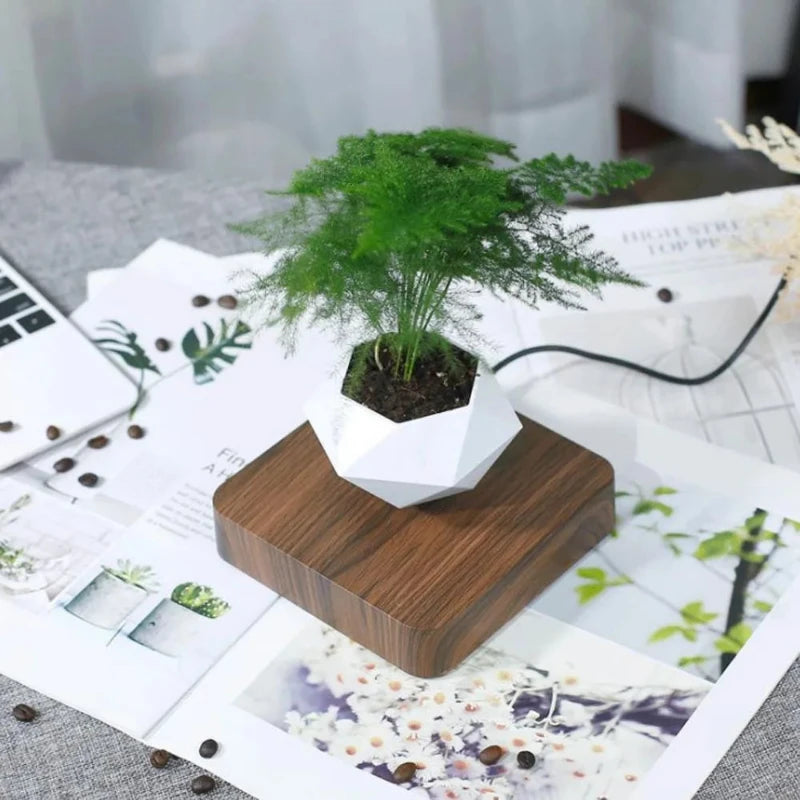 Hocozy - Floating Air Bonsai Pot - garden plant kits watering pot irrigation hand tools netting hanging stick ties green balcony