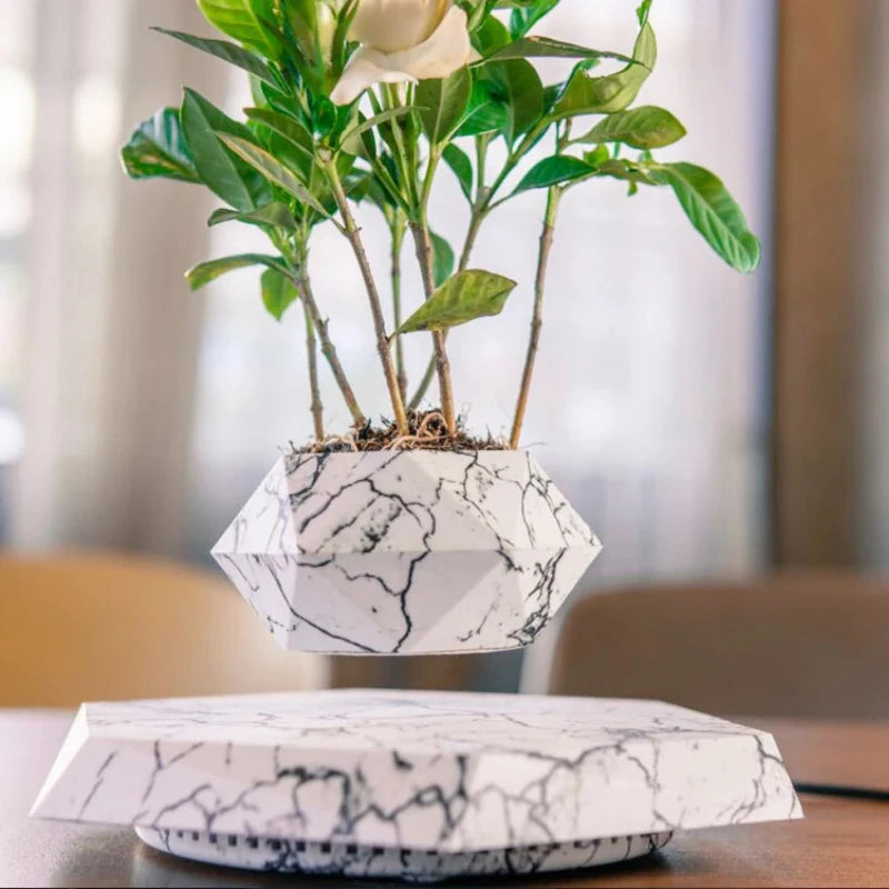 Hocozy - Floating Air Bonsai Pot - garden plant kits watering pot irrigation hand tools netting hanging stick ties green balcony