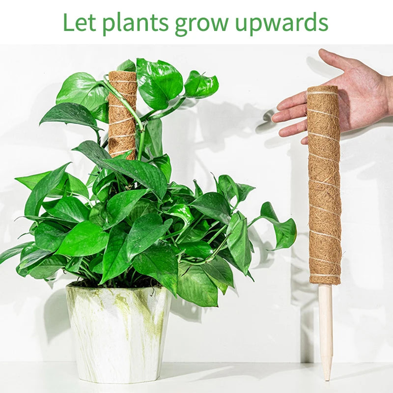 Hocozy - Plant Moss Stick for Climbing Plants - garden plant kits watering pot irrigation hand tools netting hanging stick ties green balcony