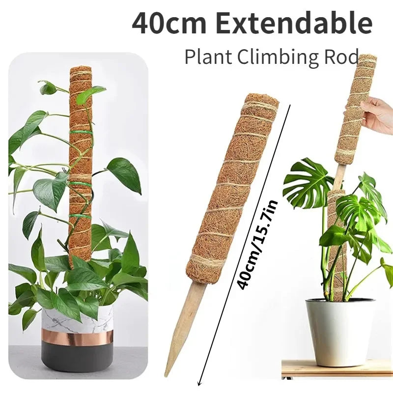 Hocozy - Plant Moss Stick for Climbing Plants - garden plant kits watering pot irrigation hand tools netting hanging stick ties green balcony