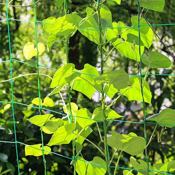 Hocozy - Strong Garden Netting for Climbing Plants - garden plant kits watering pot irrigation hand tools netting hanging stick ties green balcony
