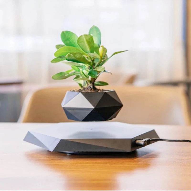 Hocozy - Floating Air Bonsai Pot - garden plant kits watering pot irrigation hand tools netting hanging stick ties green balcony