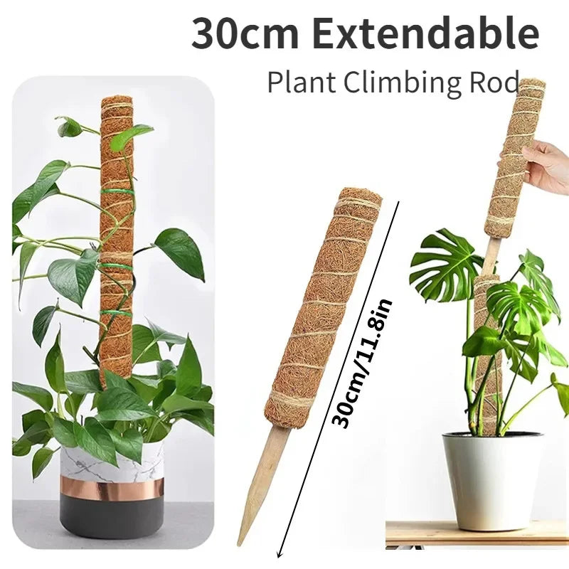 Hocozy - Plant Moss Stick for Climbing Plants - garden plant kits watering pot irrigation hand tools netting hanging stick ties green balcony