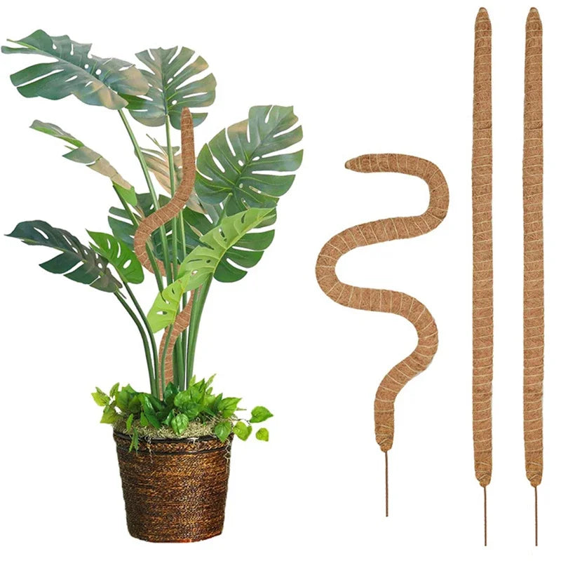 Hocozy - Plant Moss Stick for Climbing Plants - garden plant kits watering pot irrigation hand tools netting hanging stick ties green balcony