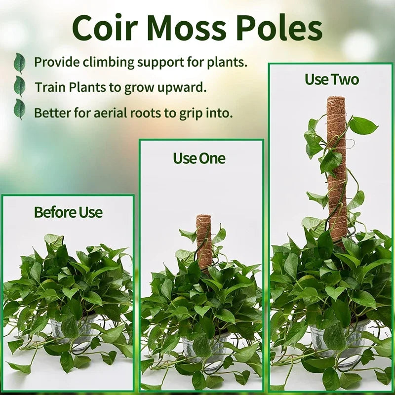 Hocozy - Plant Moss Stick for Climbing Plants - garden plant kits watering pot irrigation hand tools netting hanging stick ties green balcony
