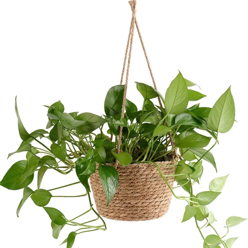 Hocozy - Garden Hanging Planter - garden plant kits watering pot irrigation hand tools netting hanging stick ties green balcony