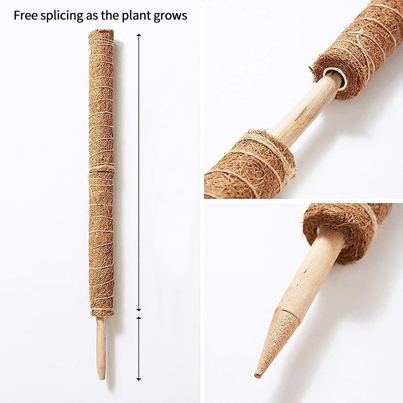 Hocozy - Plant Moss Stick for Climbing Plants - garden plant kits watering pot irrigation hand tools netting hanging stick ties green balcony