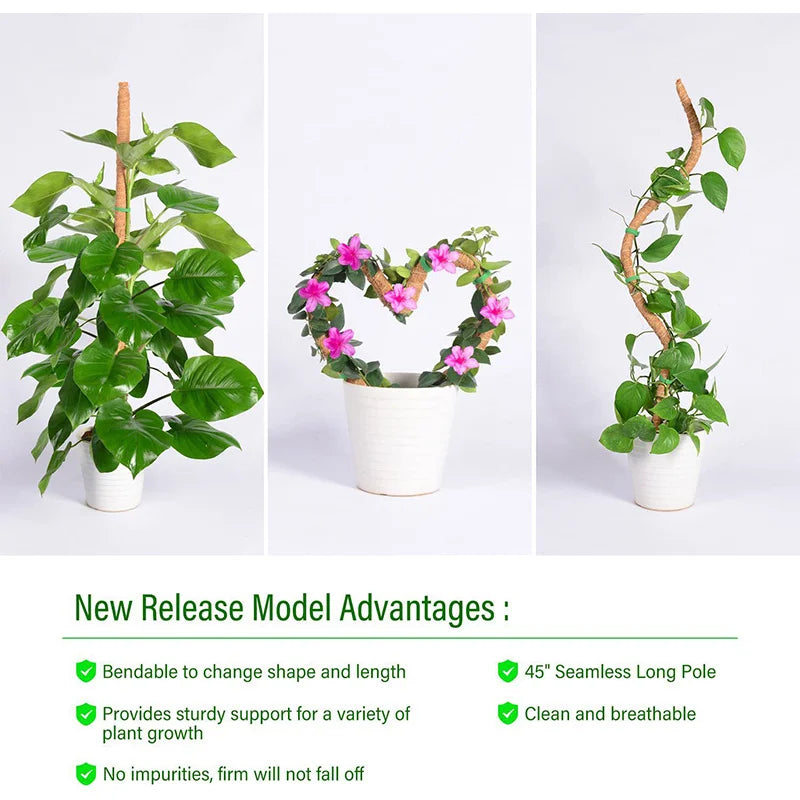 Hocozy - Plant Moss Stick for Climbing Plants - garden plant kits watering pot irrigation hand tools netting hanging stick ties green balcony